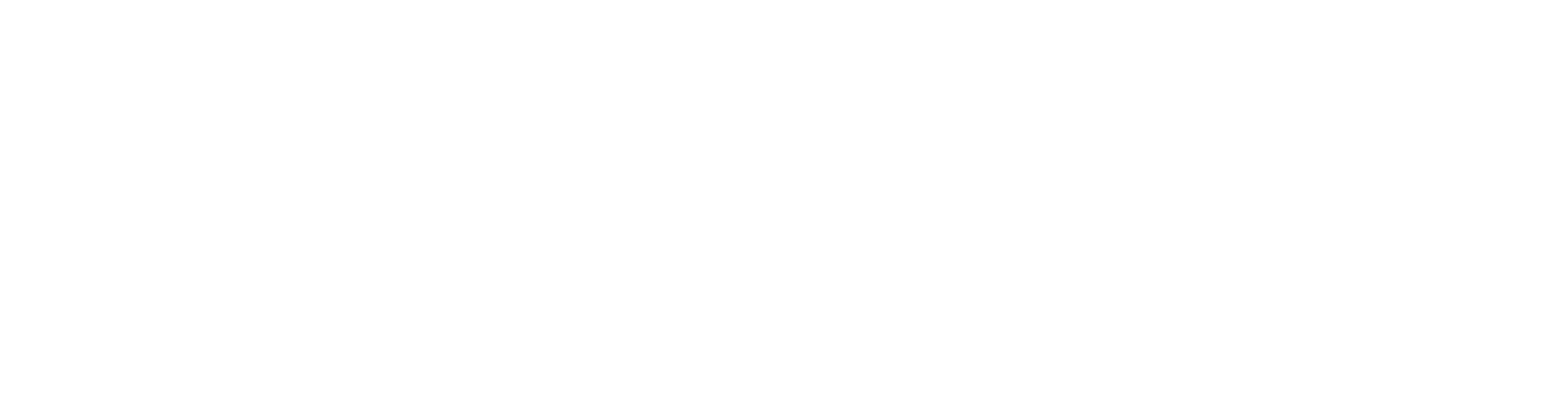 copia-rapida